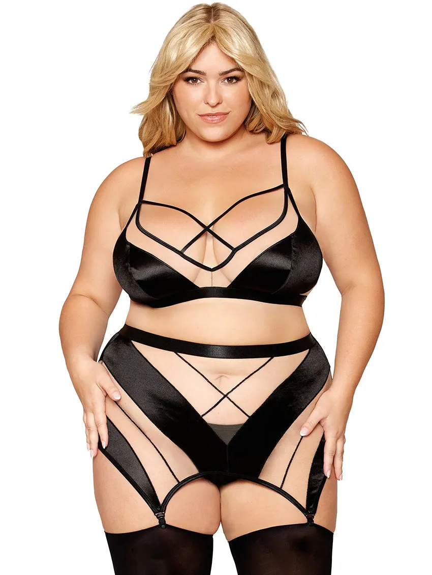 Dreamgirl Sheer Bra & Garter Set