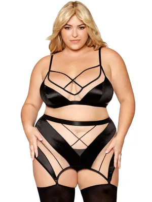 Dreamgirl Sheer Bra & Garter Set