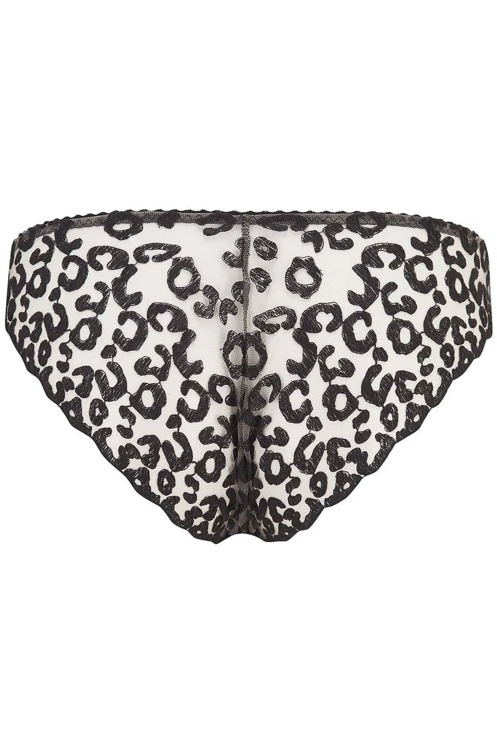 Kittie Brazilian Brief, Size 1X (UK 14-16)