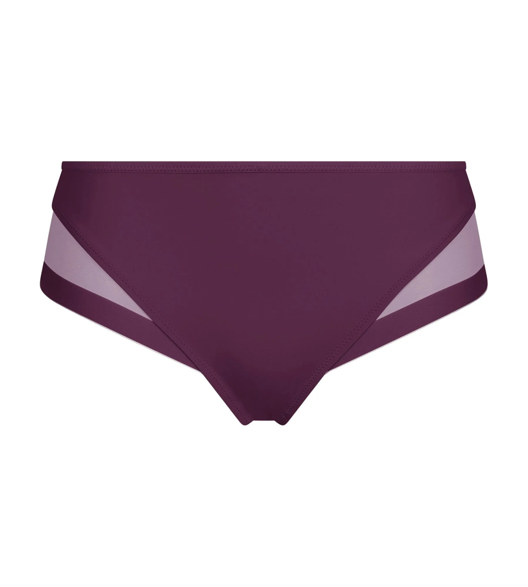 Microfiber and tulle briefs Prune Dim Generous