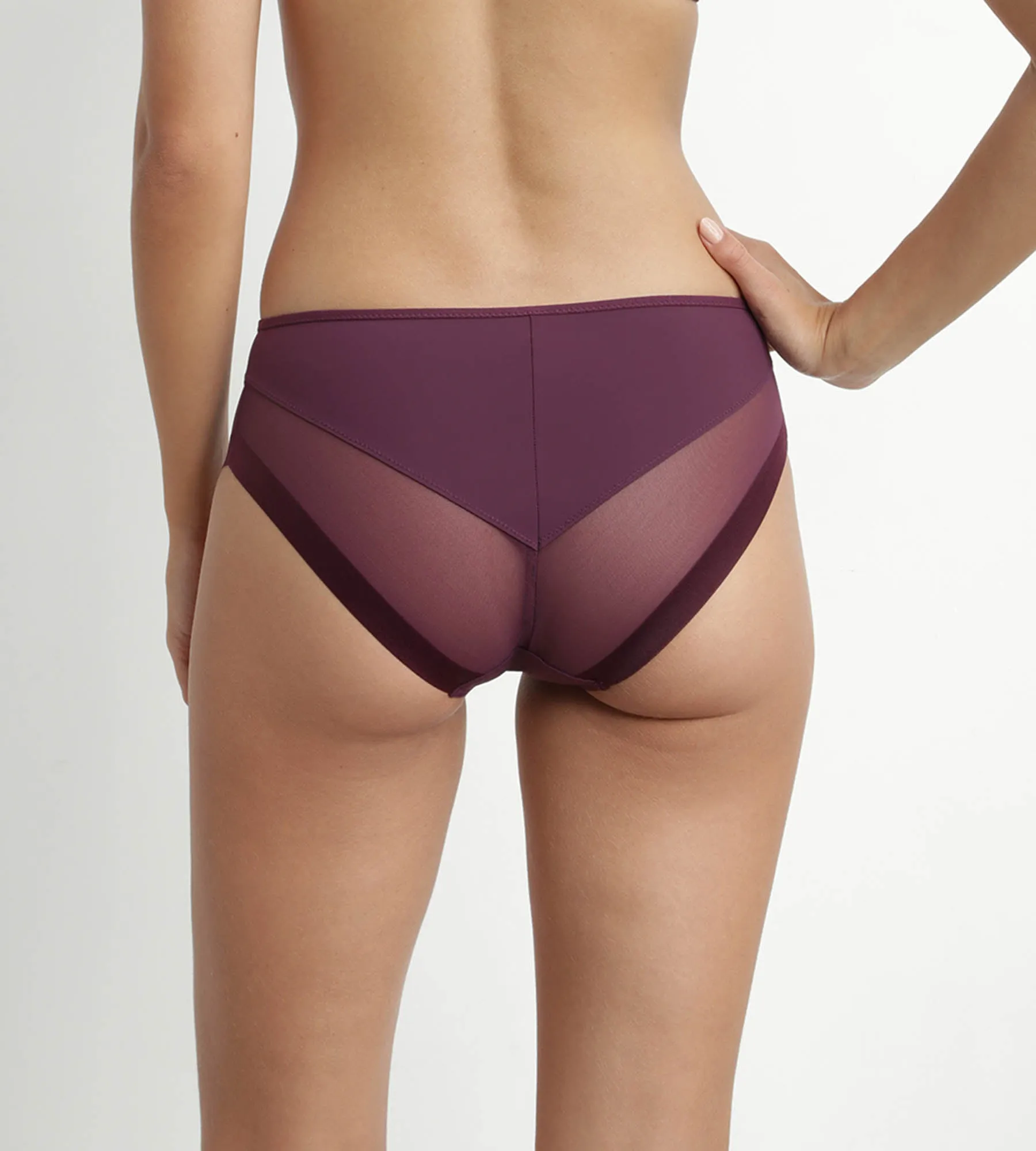 Microfiber and tulle briefs Prune Dim Generous