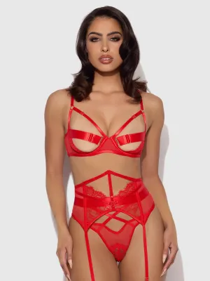 SIZES to 3/4X- Nadia Lace & Mesh Bra, Garter & G-String Set